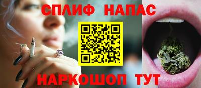 гидропоника Ставрополь