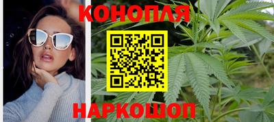 гидропоника Ставрополь