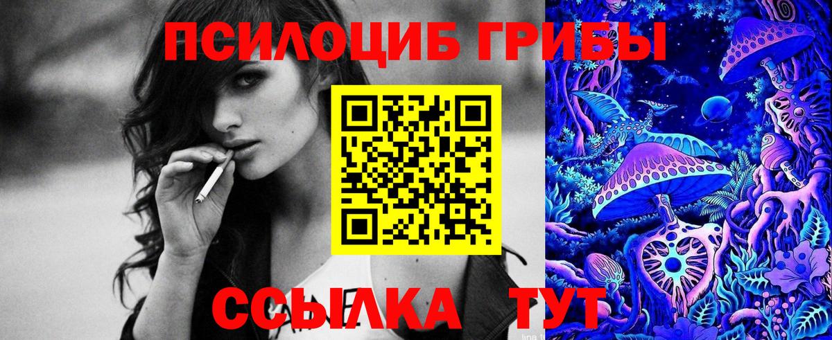 Нововоронеж  Галлюциногенные грибы прущие грибы  Вход с VPN  Псилоцибиновые грибы Cubensis 